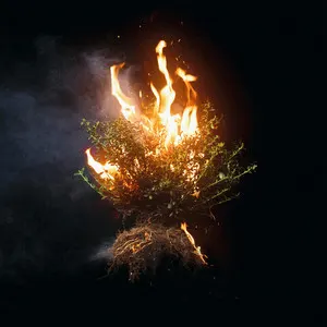 CAN YOU IMAGINE? album art