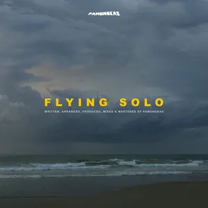 Flying Solo album art