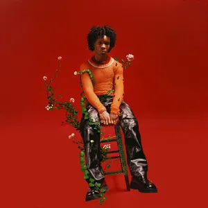 Petals to Thorns album art