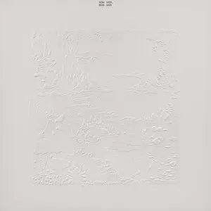 Bon Iver, Bon Iver (10th Anniversary Edition) album art